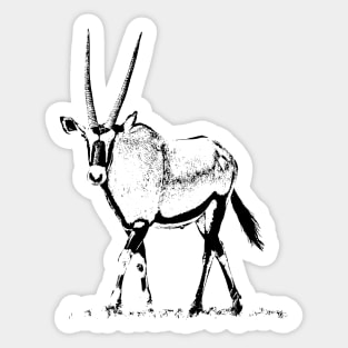 Male Gemsbok | African Wildlife Sticker